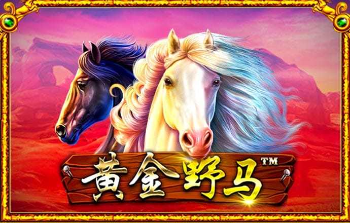 66m66威九成长模式入口